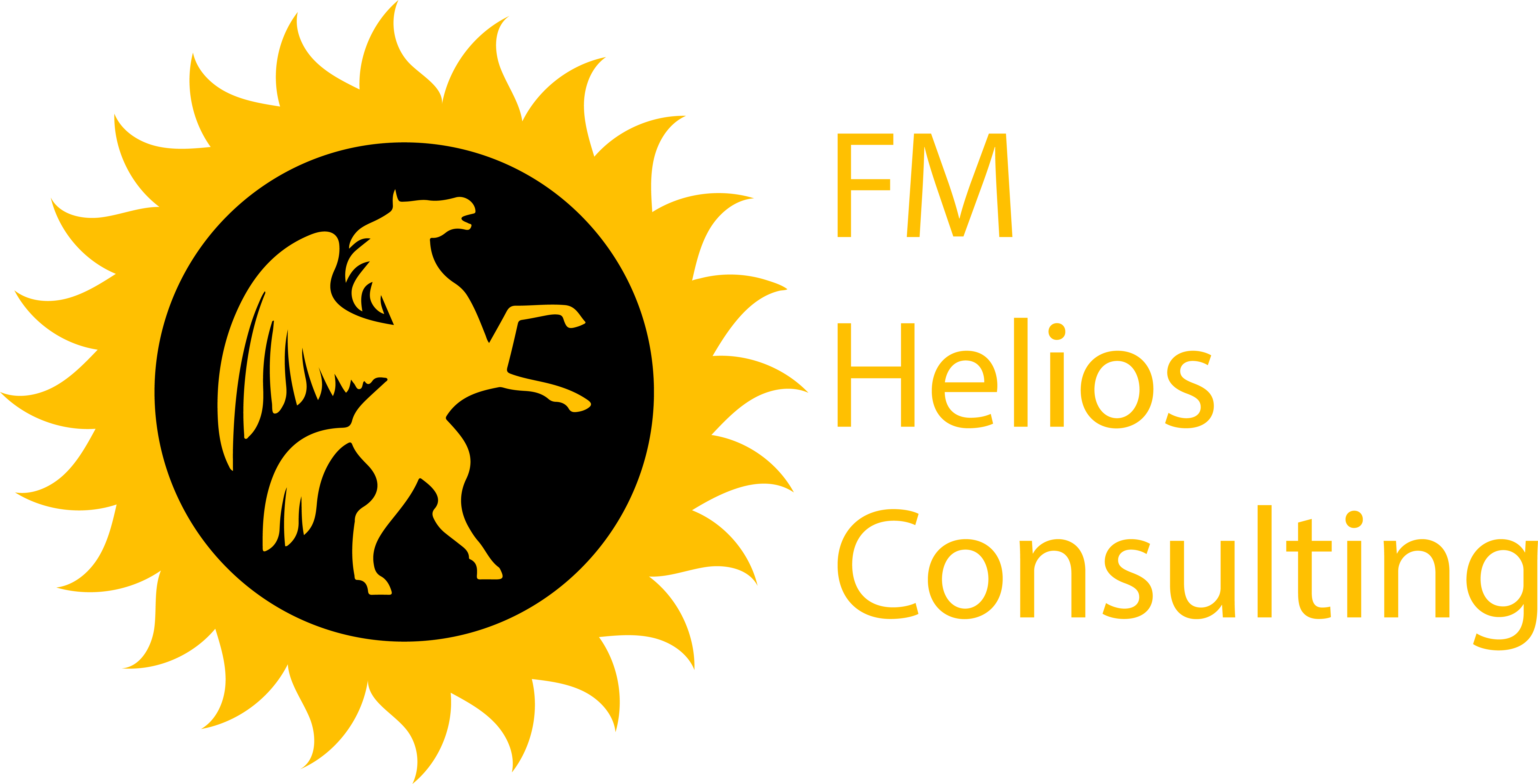 FM Helios Consulting